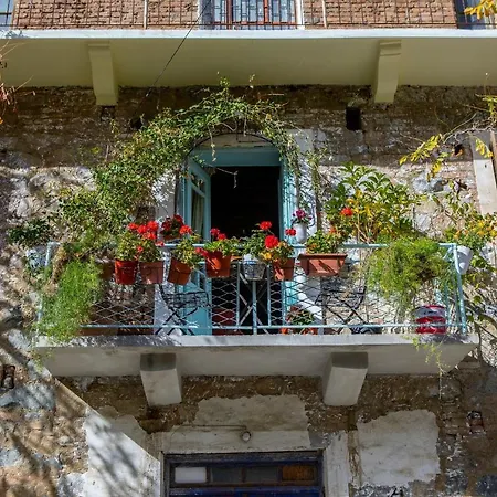 컨트리하우스 Tina's Country 아스카스